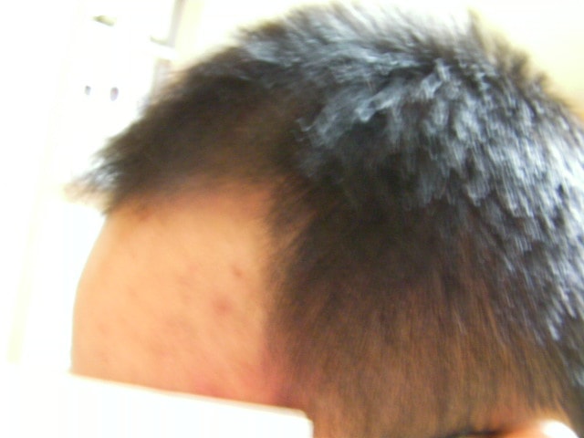 SANY0130.JPG