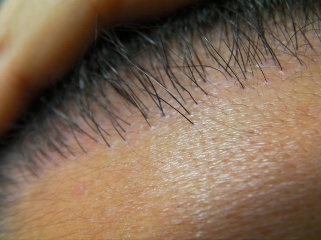 SANY0225.JPG