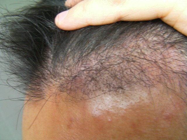 SANY0179.JPG