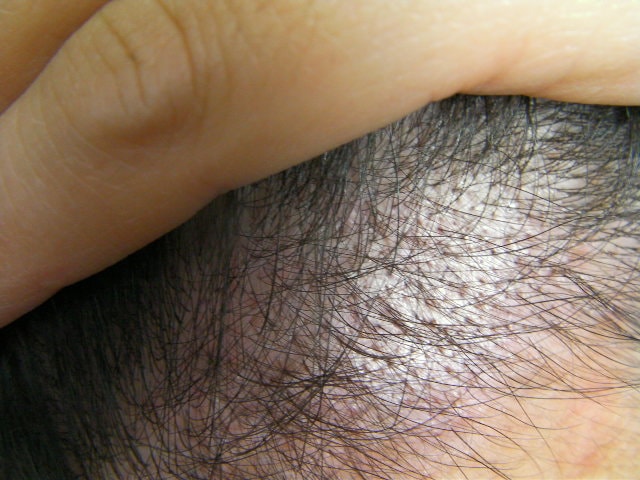 SANY0183.JPG