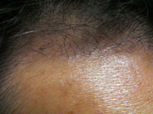SANY0156.JPG