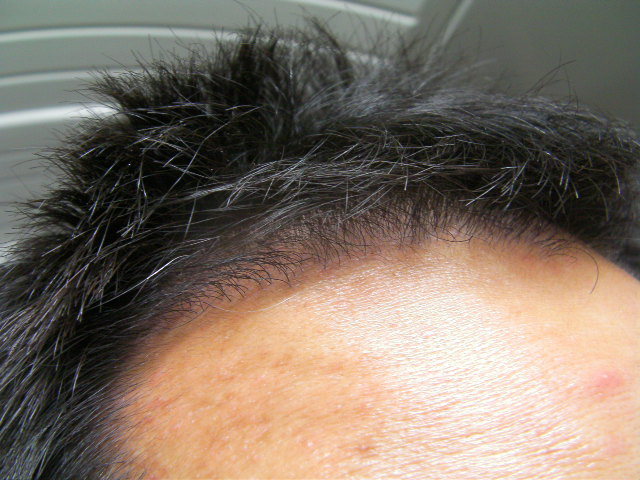 SANY0218.JPG