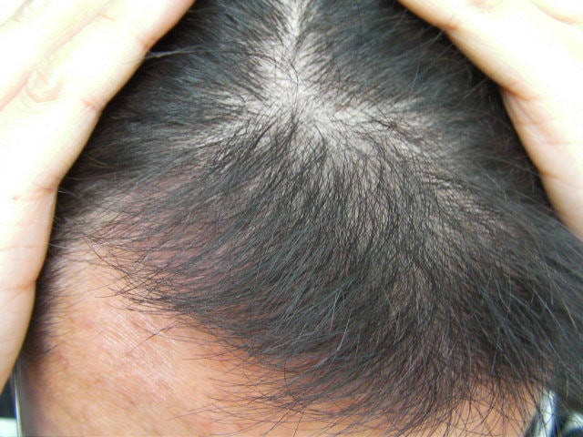 SANY0166.JPG