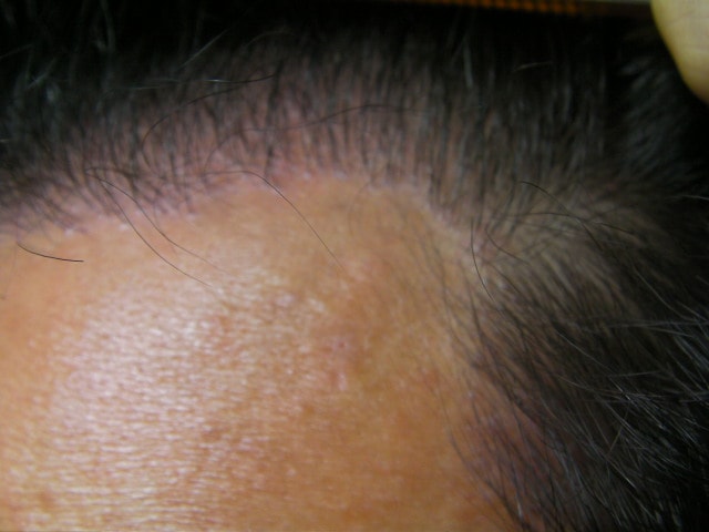 SANY0229.JPG