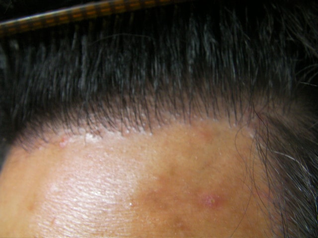 SANY0276.JPG