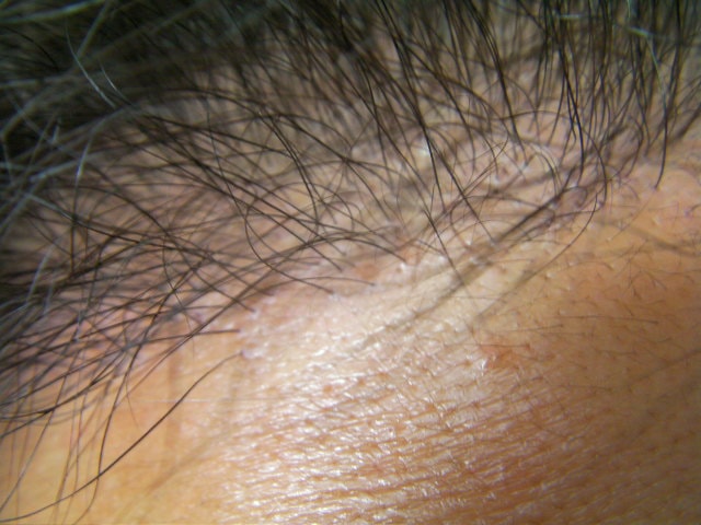 SANY0231.JPG