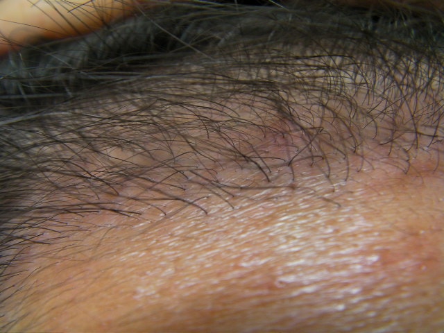 SANY0177.JPG