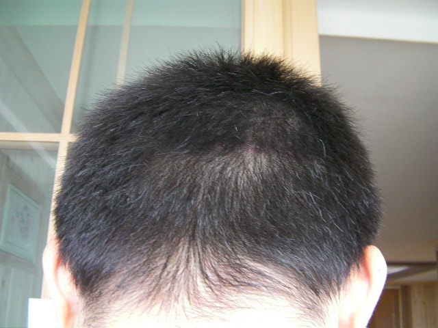 SANY0161.JPG
