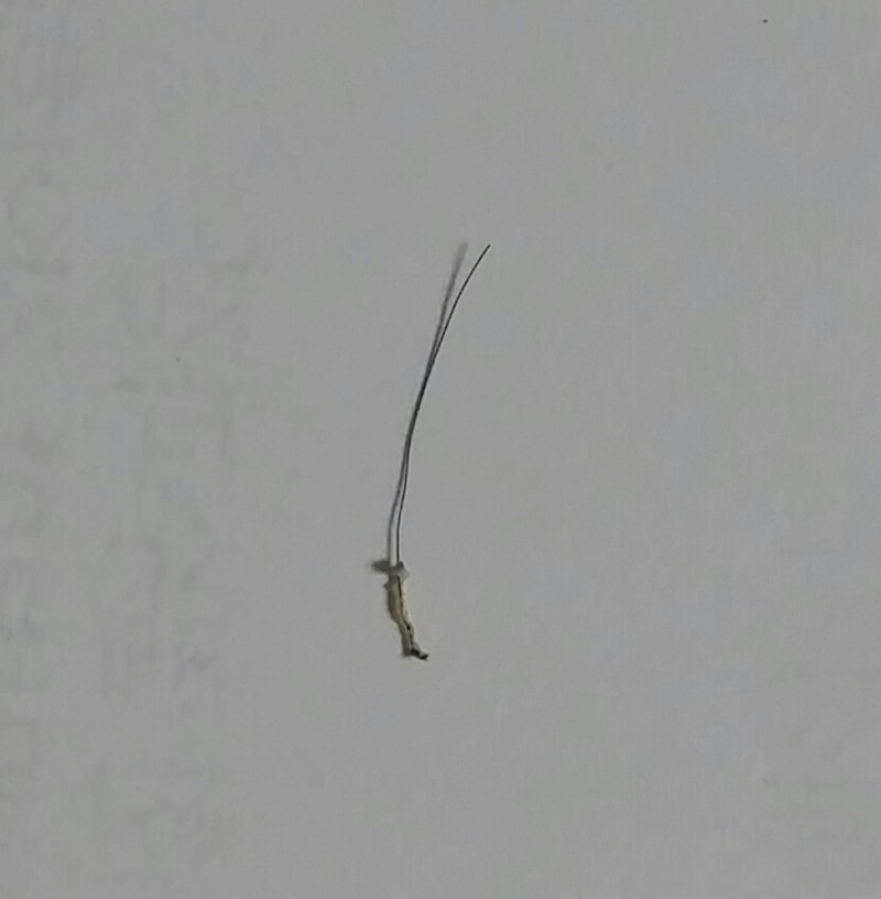 20180124_190635-1.jpg