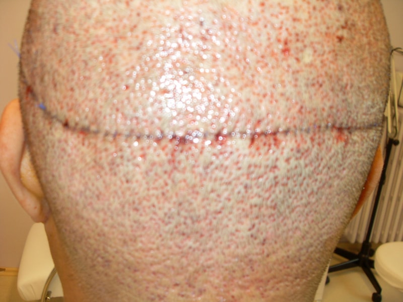 SDC12043.JPG