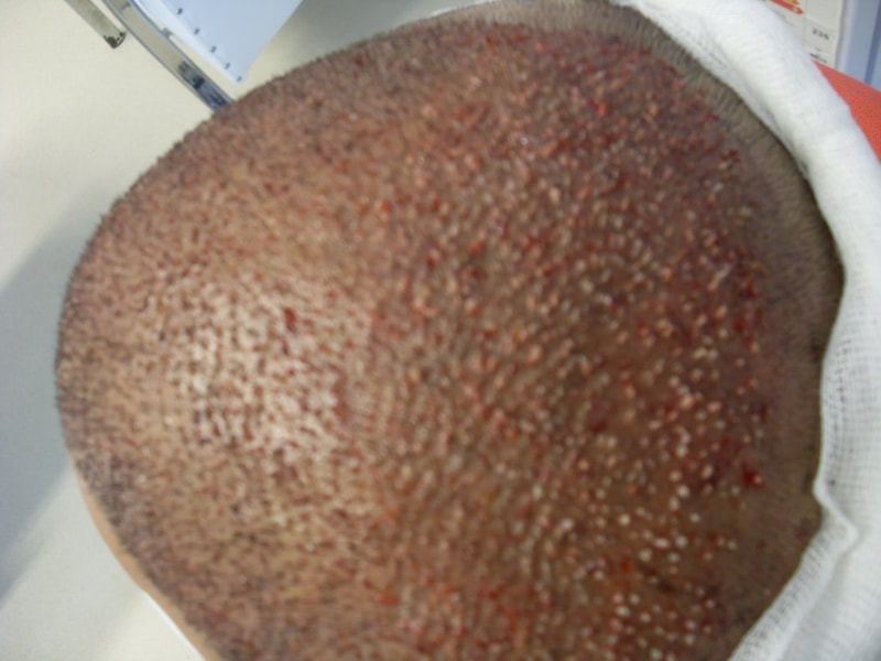 SDC12052.JPG