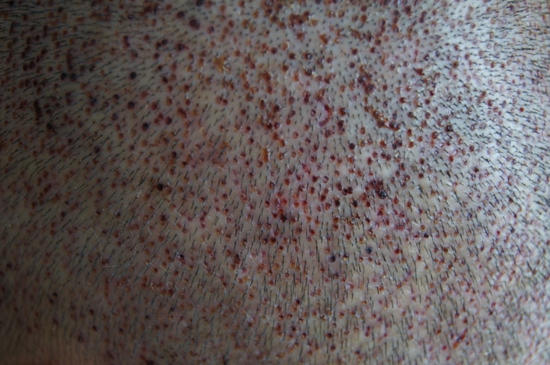 꾸미기_12DSC07078.JPG