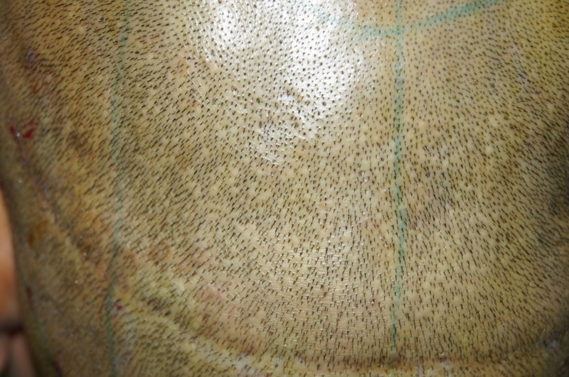 꾸미기_12DSC07025.JPG