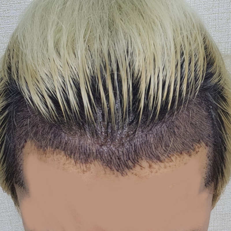 일러스트72.jpg