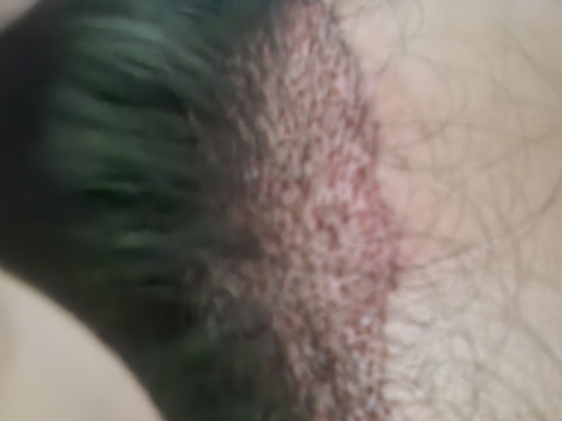 20241219_080447.jpg