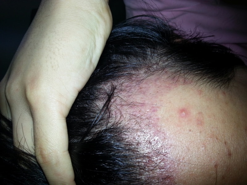 크기변환_20121213_172558.jpg