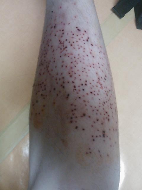사진100714_013.jpg