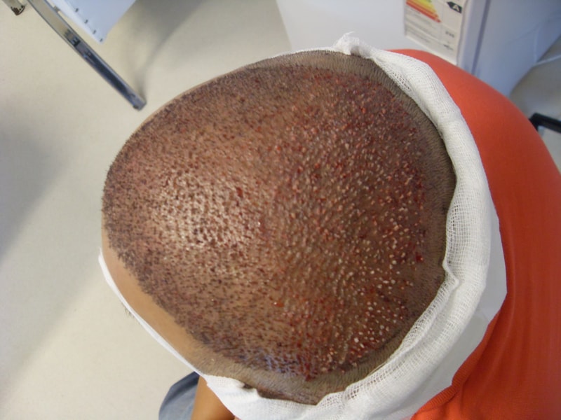 SDC12053.JPG