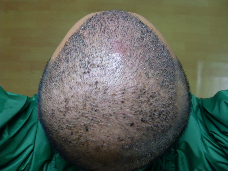 SDC17886.JPG