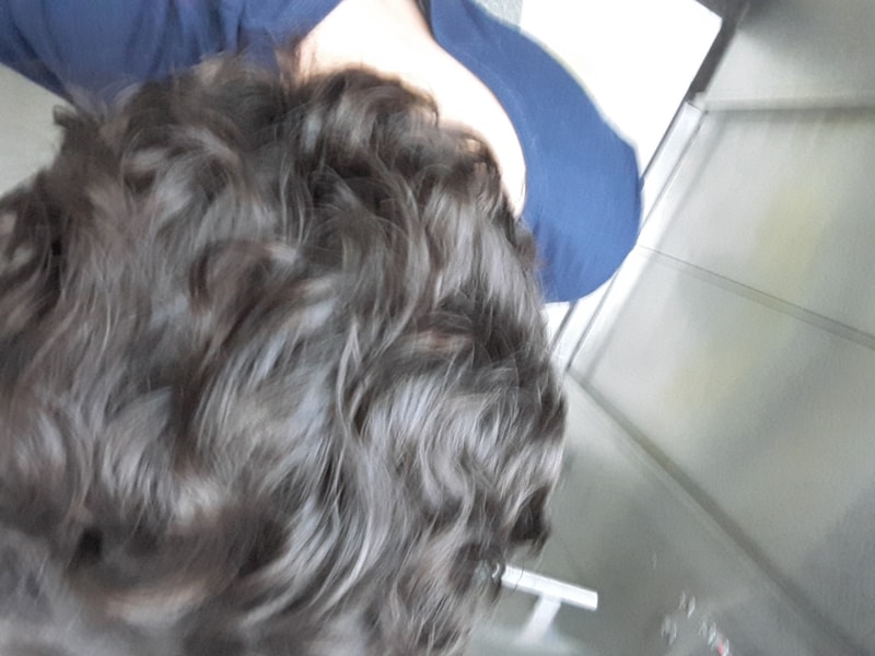 20170726_215455.jpg