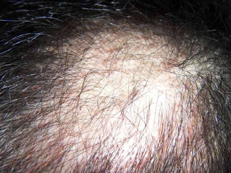 SDC16067.JPG