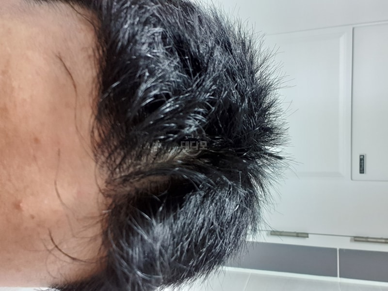 bcbdd74990655d9b44c22eb99436ada5.jpg