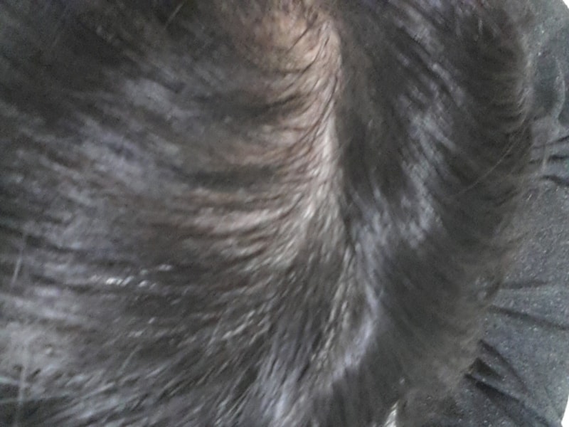 20131108_220604[1].jpg