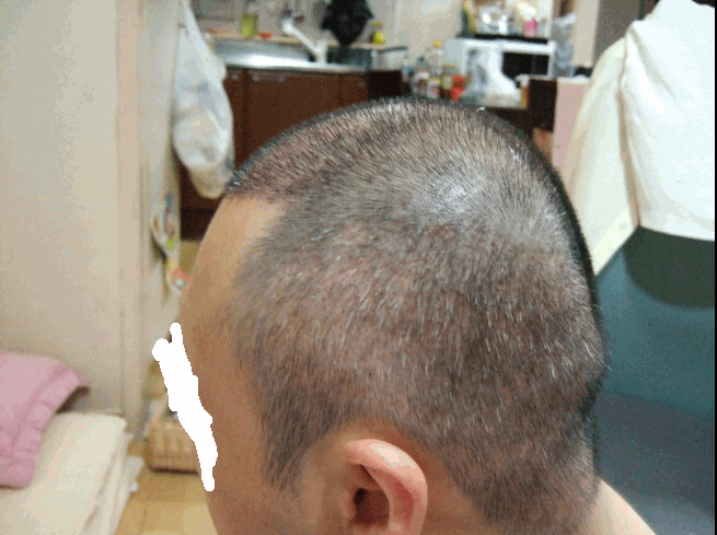옆.gif