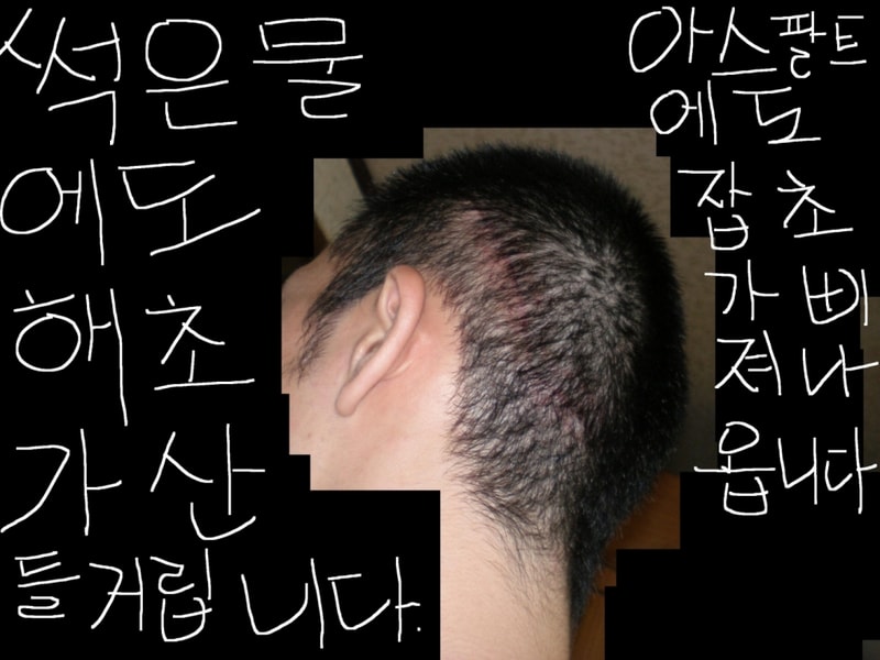 45일2.JPG