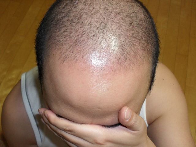 SDC10051.jpg