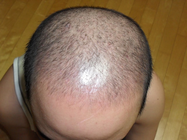 SDC10049.jpg