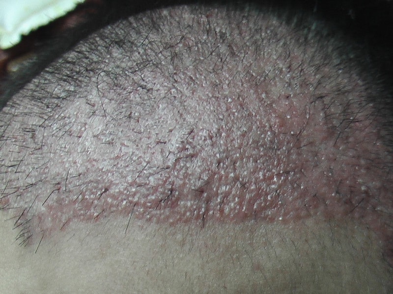 IMGA0169.JPG