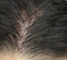 2023-08-18 18;25;04.PNG