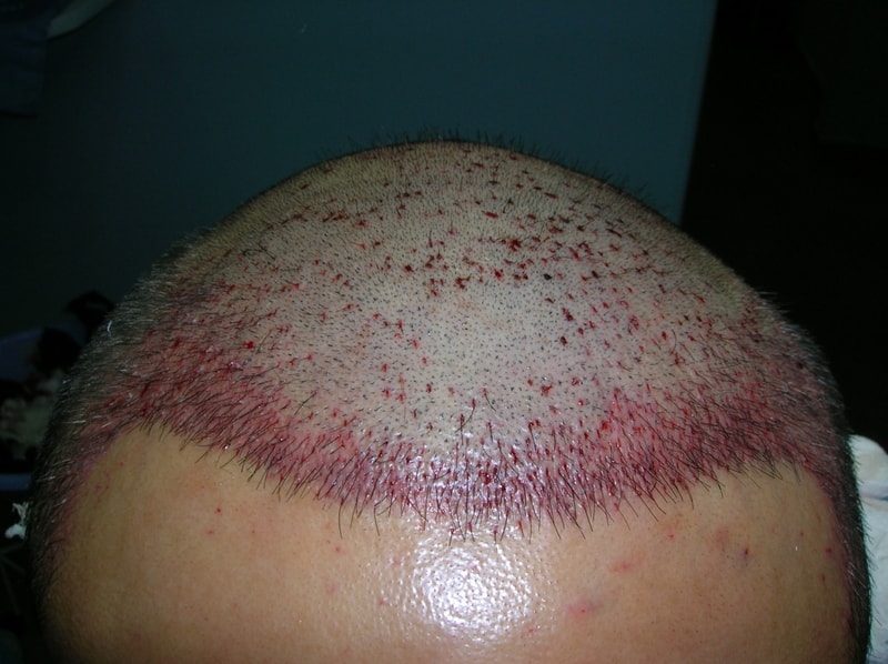 DSCN6098.JPG