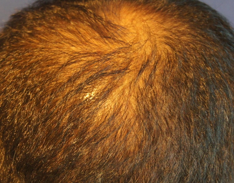 op_DSC01110.JPG