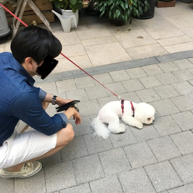 KakaoTalk_20181225_165128936.jpg