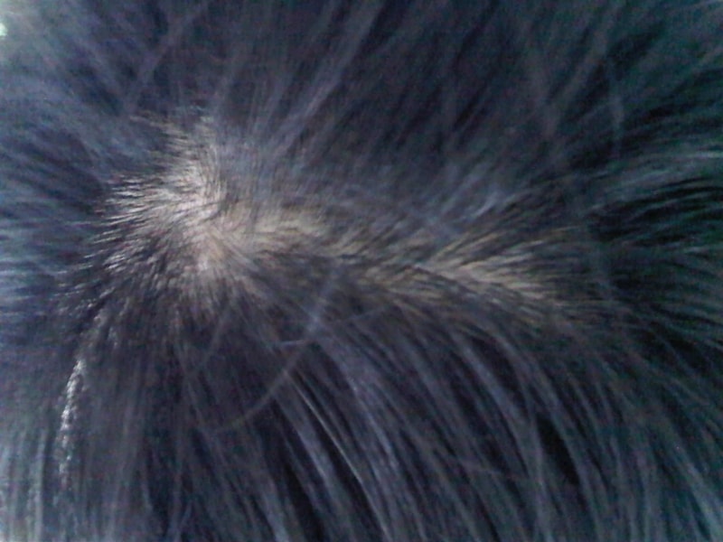 IMG01013-20111218-1405.jpg