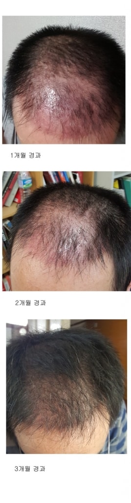 모재성1.jpg