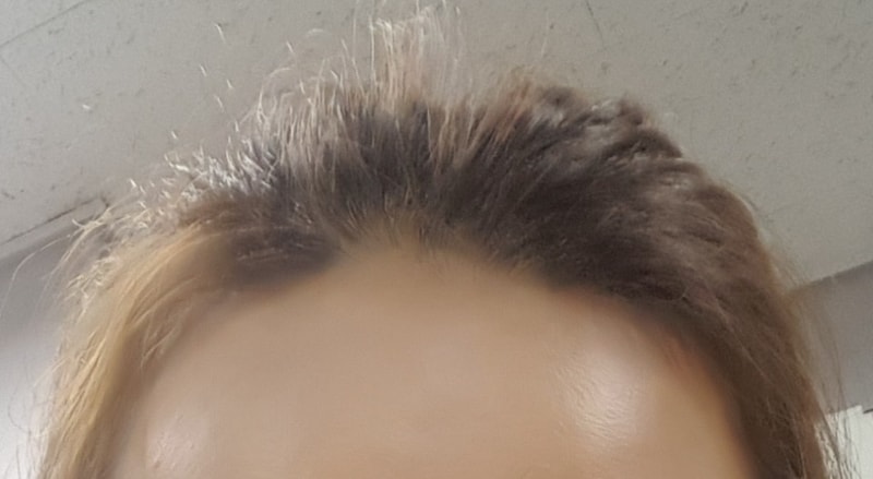 01.jpg