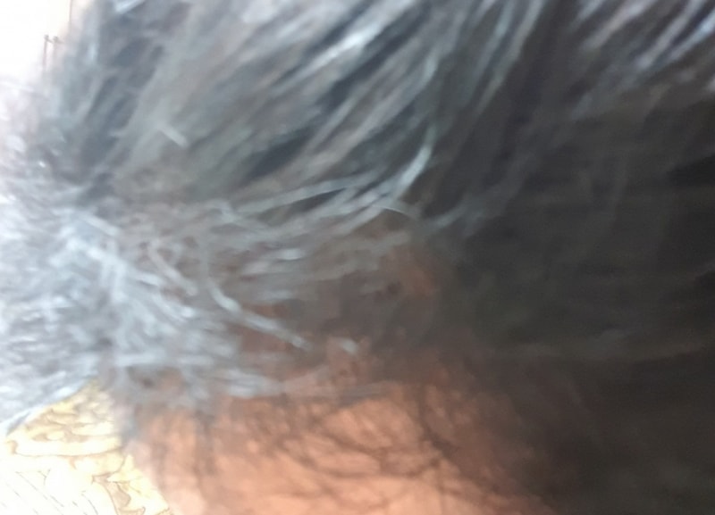 20190811_121232.jpg