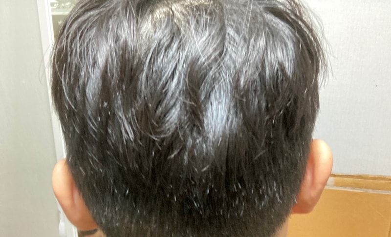 KakaoTalk_20230127_012239626.jpg