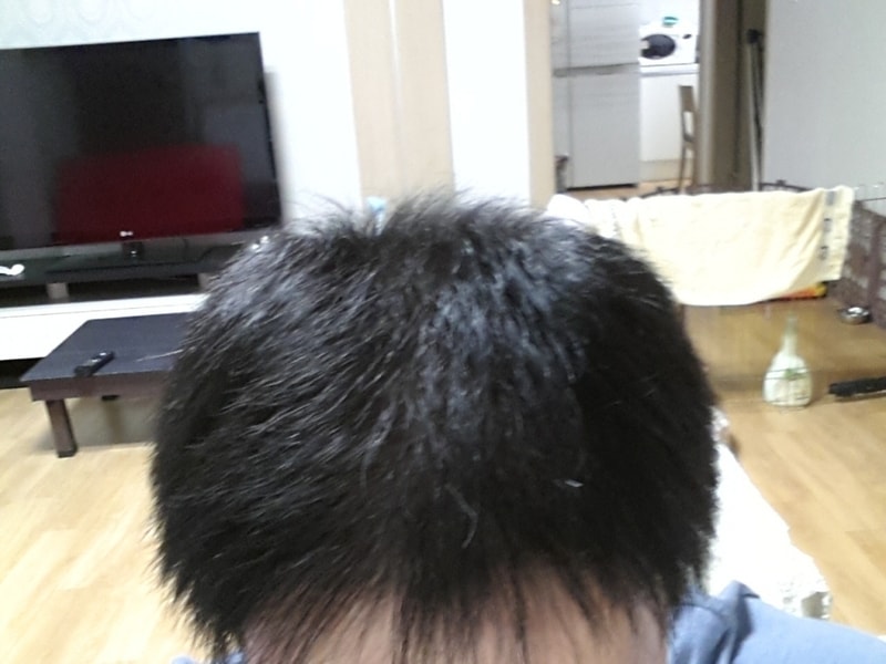 일반.jpg