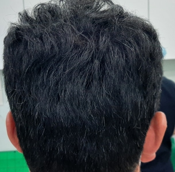 p3.jpg
