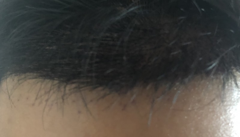 KakaoTalk_20190817_151034070.jpg