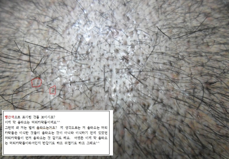 사진3.JPG