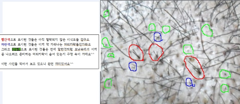 사진2.JPG