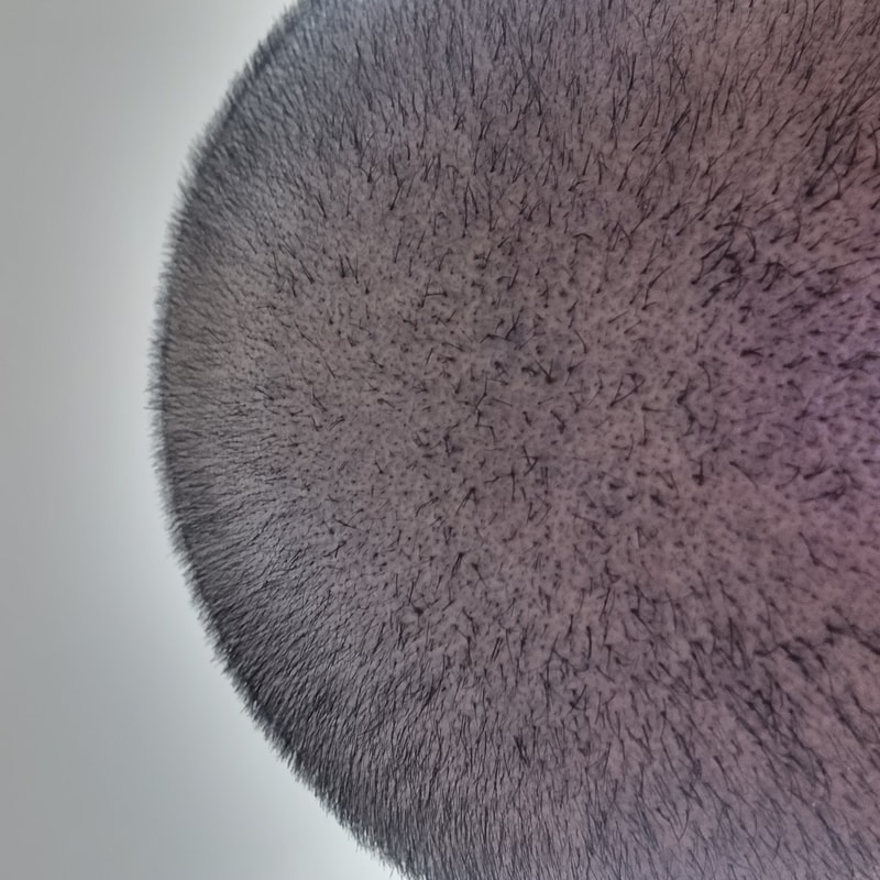 20220713_223040.jpg
