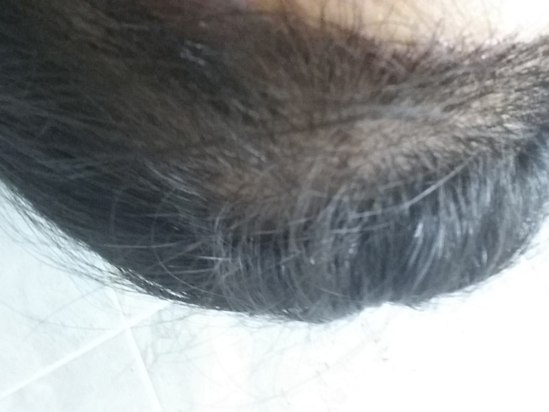 20170505_165601.jpg