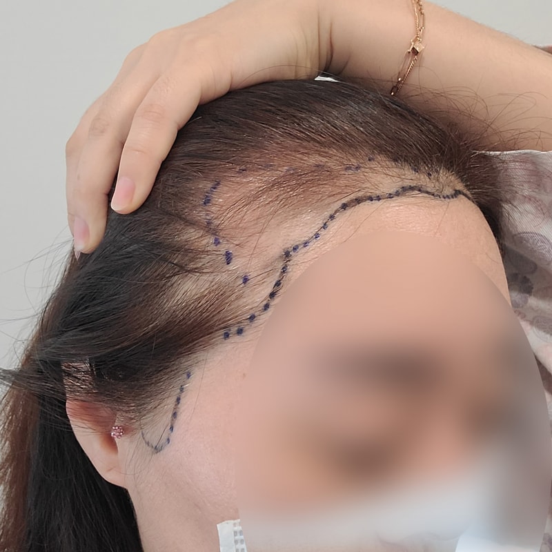대다모 디자인 2.jpg