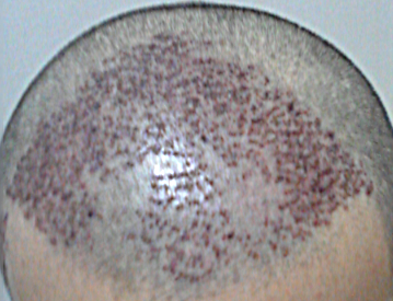 IMG_20130510_1.png